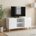 vidaXL TV skrinka 102 x 34,5 x 50 cm Biela s vysokým leskom