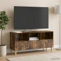 vidaXL TV skrinka 102 x 34,5 x 50 cm Dymový dub Kompozitné drevo