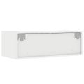 vidaXL TV skrinka s LED svetlami, biela 75x35,5x25 cm
