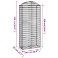 vidaXL Oblúkový gabionový kôš 100x50x220/240 cm pozinkované železo