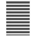 vidaXL Zebra roleta čierna 105x100 cm šírka látky 100,9cm polyester