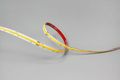 Modee LED pás DC24V 10W/m COB-480LED/m 8mm IP20 2700K (1030 lm/m) B5 (ML-LS24V50W480L/M2700KB5)