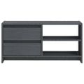 vidaXL TV skrinka sivá 80x31x39 cm borovicový masív