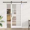 vidaXL Posuvné dvere 93 x 211 cm Masívne borovicové drevo a sklo