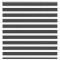 vidaXL Zebra roleta čierna 145x100 cm šírka látky 140,9cm polyester