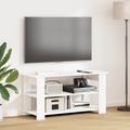 vidaXL Stojan na televízor Biela 100 x 40 x 50 cm