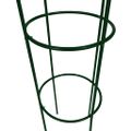 vidaXL Pergola na popínavé rastliny, 2 ks