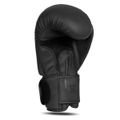 Boxerské rukavice DBX BUSHIDO B-2v21 12 oz