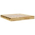 VidaXL Rám postele bez matraca 200x200 cm Dub z masívneho dreva