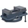vidaXL Otočný strojový zverák liatina 160 mm