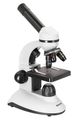 (SK) Mikroskop Levenhuk Discovery Nano