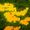 Fluorescenčný mikroskop MAGUS Lum 450L