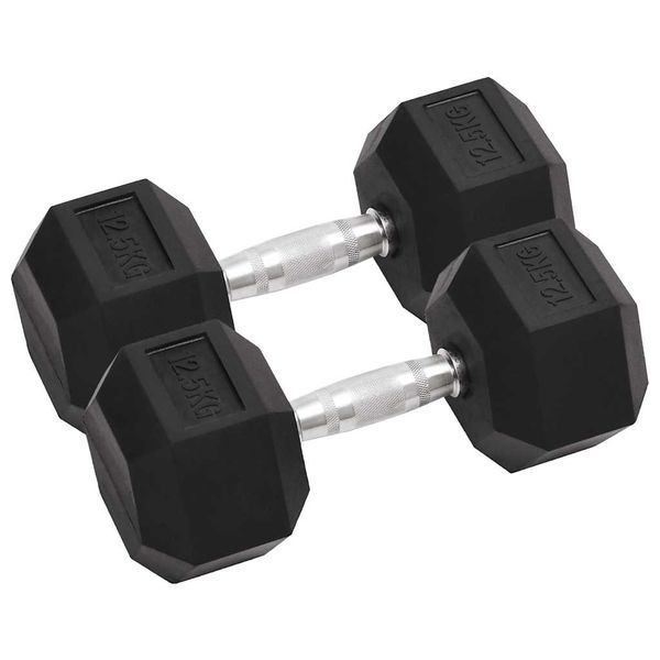 vidaXL Jednoručné činky 2 ks 25 kg celkové liatina