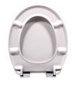 Schütte INDUSTRY GREY | Duroplast, Soft Close