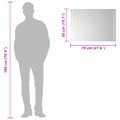vidaXL Zrkadlo do kúpeľne s LED Priehľadná 70 x 50 cm tvrdené sklo