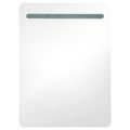 vidaXL LED kúpeľňová zrkadlová skrinka 60x11x80 cm