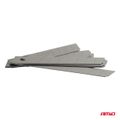 Sada čepelí SK5 100x18x0,5mm 10ks AMiO-04820