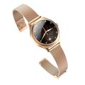 MAXCOM Fit FW42, Smart hodinky, zlaté