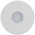 vidaXL Skrutka 2 ks Zinkovaný 5 x 40 mm Železo