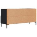 vidaXL TV stolík čierny 102x36x50 cm kompozitné drevo