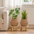 vidaXL Kvetináč s uchami 2 ks Prírodná Ø 22 x 20 cm 100% Morská tráva