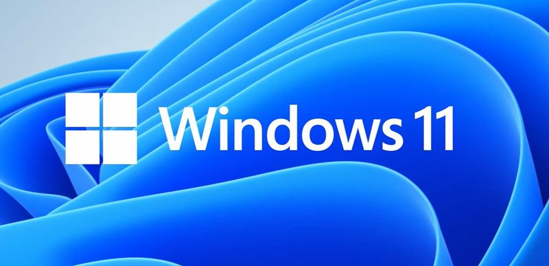 MS Windows 11 Professional 64-bit Slovak 1pk OEM DVD