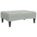 vidaXL 2-miestna rozkladacia pohovka vankúše podnožka bledosivá zamat