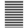 vidaXL Zebra roleta čierna 110x150 cm šírka látky 105,9cm polyester
