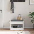 vidaXL Predsieňová lavica Biely 63 x 38 x 45 cm