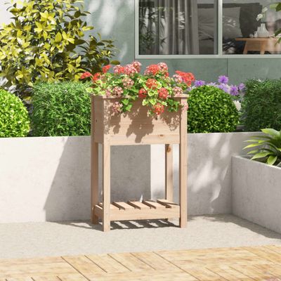 vidaXL Kvetináč s policou 54x34,5x81 cm masívna borovica