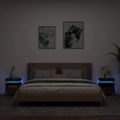 vidaXL Nočné stolíky s LED svetlami 2 ks hnedý dub 40x39x48,5 cm