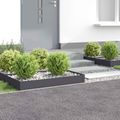 vidaXL Obrubník trávnika 4 ks 100 x 60 x 20 cm Oceľ Antracitová