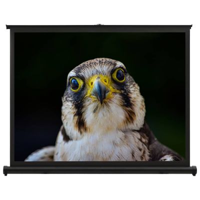 vidaXL Stolné projekčné plátno 40" 4:3