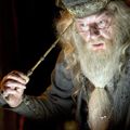 Bazová palička Albusa Dumbledora