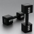 Nastaviteľné jednoručné činky HMS HL02 2 × 5 kg