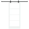 vidaXL Posuvné dvere Biela 93 x 211 cm Masívne borovicové drevo a sklo