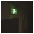 LED nouzové osvetlenie EMOS / NESSI ZN2120 / 3 W, 3 h, IP65