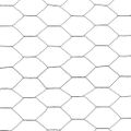 vidaXL Drôtené pletivo pre sliepky oceľ potiahnutá PVC 25x1 m sivé