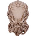 Lebka Cthulhu (20 cm)