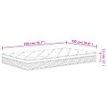 vidaXL Taštičkový pružinový matrac stredne tvrdý plus 100x200 cm