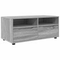 vidaXL TV skrinka 100 x 48 x 43 cm Sivý Sonoma Kompozitné drevo