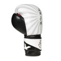 Boxerské rukavice DBX BUSHIDO B-2v8 14 oz