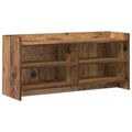 vidaXL TV skrinka 100 x 33 x 47 cm Staré drevo Kompozitné drevo