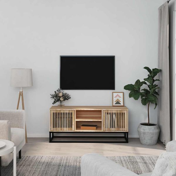 vidaXL TV skrinka 105x30x45 cm kompozitné drevo a železo