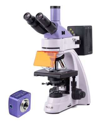 Fluorescenčný digitálny mikroskop MAGUS Lum D400