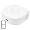 Inteligentná domácnosť WS2GW-R WiFi