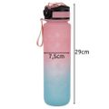 <p>Motivačná fľaša na vodu 1000 ml, modroružová Trizand 24497 Motivační láhev na vodu 1000 ml, modrorůžová Trizand 24497</p>