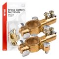 Svorky na autobatériu mosadzné 800AMP, 2 ks / blistr AMiO-04390