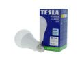 TESLA BL272040-8 – LED bulb žiarovka E27, 20W, 2500 lm, 4000K, denná biela
