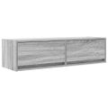 vidaXL TV skrinka 100 x 31 x 25,5 cm Sivý dub sonoma Kompozitné drevo